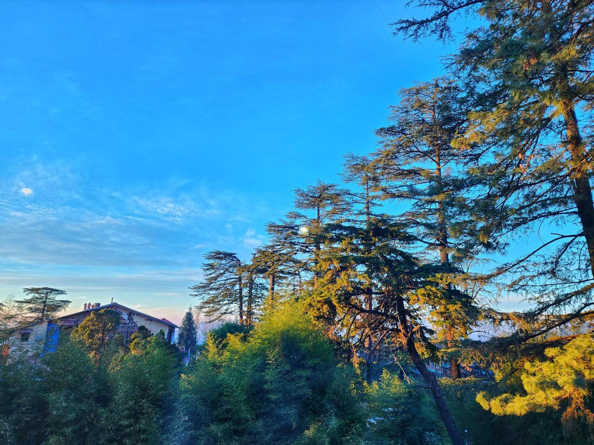 Hotel Pineview Shimla Luaran gambar