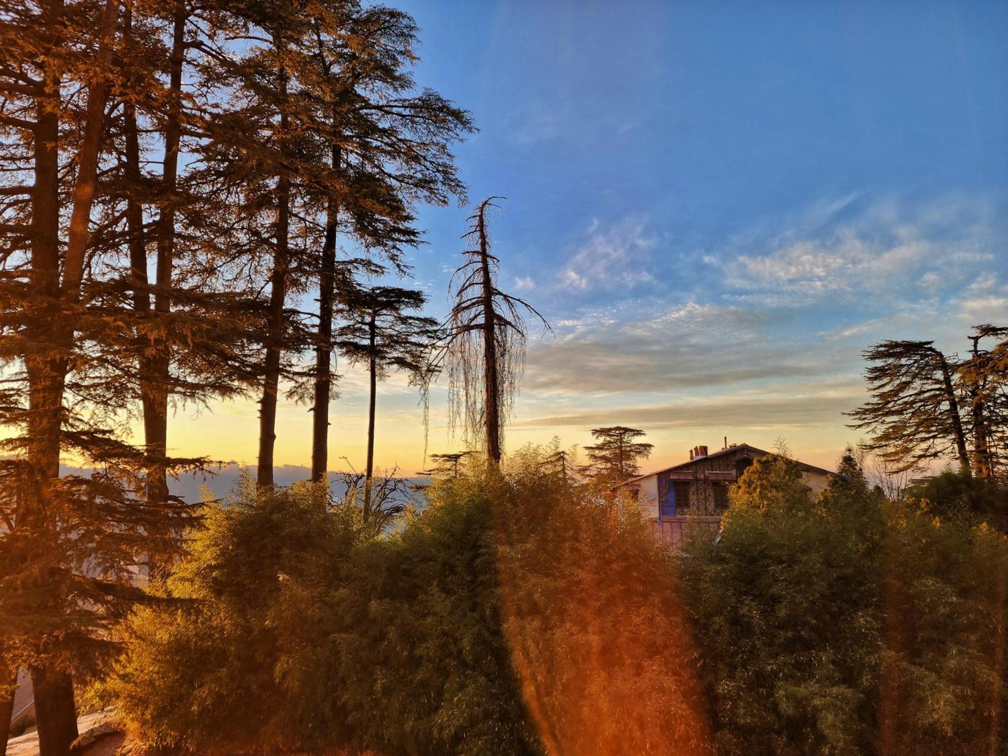 Hotel Pineview Shimla Luaran gambar