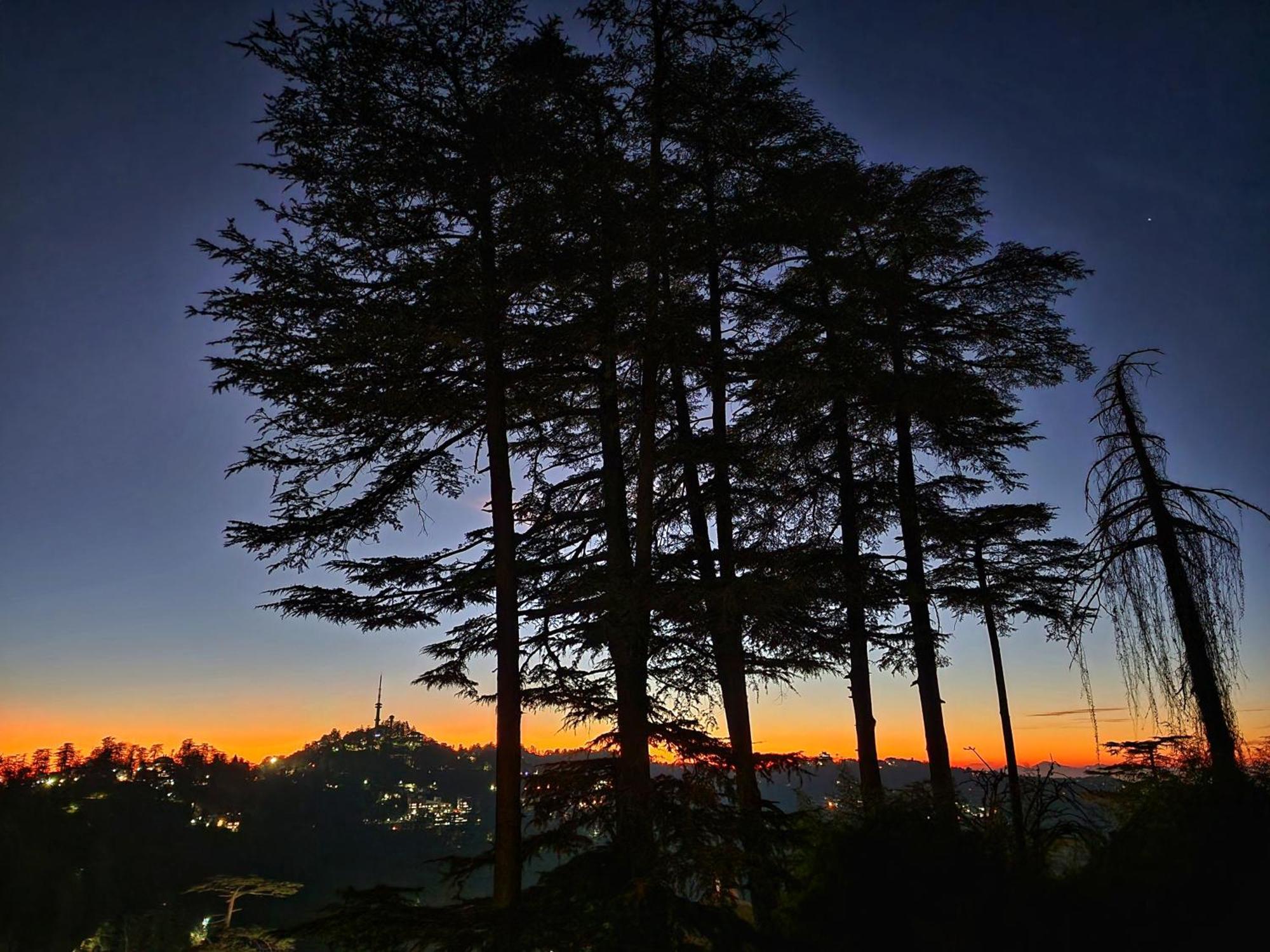 Hotel Pineview Shimla Luaran gambar